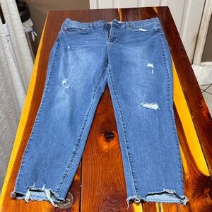 Nichole Miller  Blue Distressed Ankle Jeans BD14